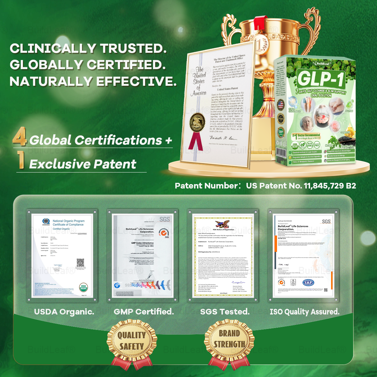 A  𝐵𝑢𝑖𝑙𝑑𝐿𝑒𝑎𝑓® 𝗚𝗟𝗣-𝟭 𝟳 𝗗𝗮𝘆𝘀 𝗚𝘂𝘁 𝗖𝗹𝗲𝗮𝗻𝘀𝗲 & 𝗦𝗹𝗶𝗺 𝗦𝘂𝗽𝗽𝗼𝗿𝘁 𝗢𝗿𝗮𝗹 𝗦𝗼𝗹𝘂𝘁𝗶𝗼𝗻 for Digestive Cleanse ,𝑶𝒃𝒆𝒔𝒊𝒕𝒚, 𝑴𝒆𝒏𝒕𝒂𝒍 𝑪𝒍𝒂𝒓𝒊𝒕𝒚,𝑫𝒊𝒂𝒃𝒆𝒕𝒆𝒔, 𝑫𝒊𝒈𝒆𝒔𝒕𝒊𝒗𝒆 & 𝑪𝒂𝒓𝒅𝒊𝒐𝒗𝒂𝒔𝒄𝒖𝒍𝒂𝒓 𝑯𝒆𝒂𝒍𝒕𝒉, 𝑱𝒐𝒊𝒏𝒕 𝑺𝒖𝒑𝒑𝒐𝒓𝒕, 𝑺𝒌𝒊𝒏 𝑭𝒊𝒓𝒎𝒊𝒏𝒈, 𝑨𝒏𝒕𝒊-𝑨𝒈𝒊𝒏𝒈, 𝑺𝒕𝒓𝒆𝒔𝒔 𝑹𝒆𝒍𝒊𝒆𝒇 & 𝑬𝒏𝒆𝒓𝒈𝒚 𝑩𝒐𝒐𝒔𝒕
